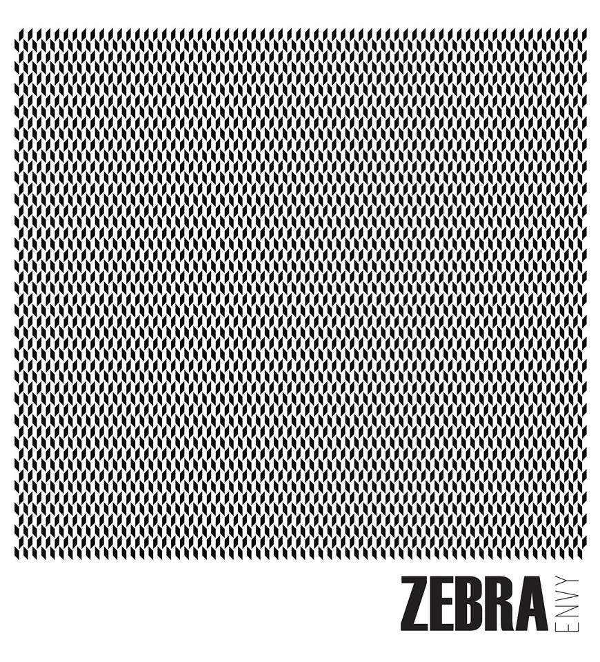 ZEBRAENVY magazine